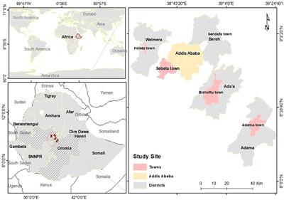 Zoonotic tuberculosis in a high bovine tuberculosis burden area of Ethiopia